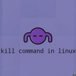 دستور Kill در لینوکس