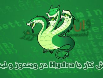 آموزش استفاده از Hydra در ویندوز و لینوکس