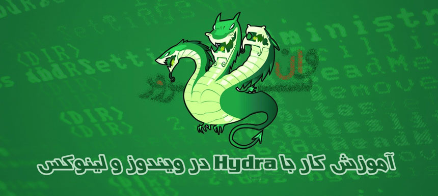 آموزش استفاده از Hydra در ویندوز و لینوکس