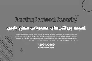 امنیت پروتکل‌های مسیریابی سطح پایین